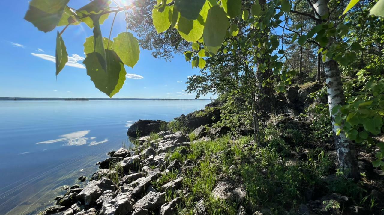 Шандалович: Карелии, Ленинградской и Вологодской областям нужно вместе защищать озёра