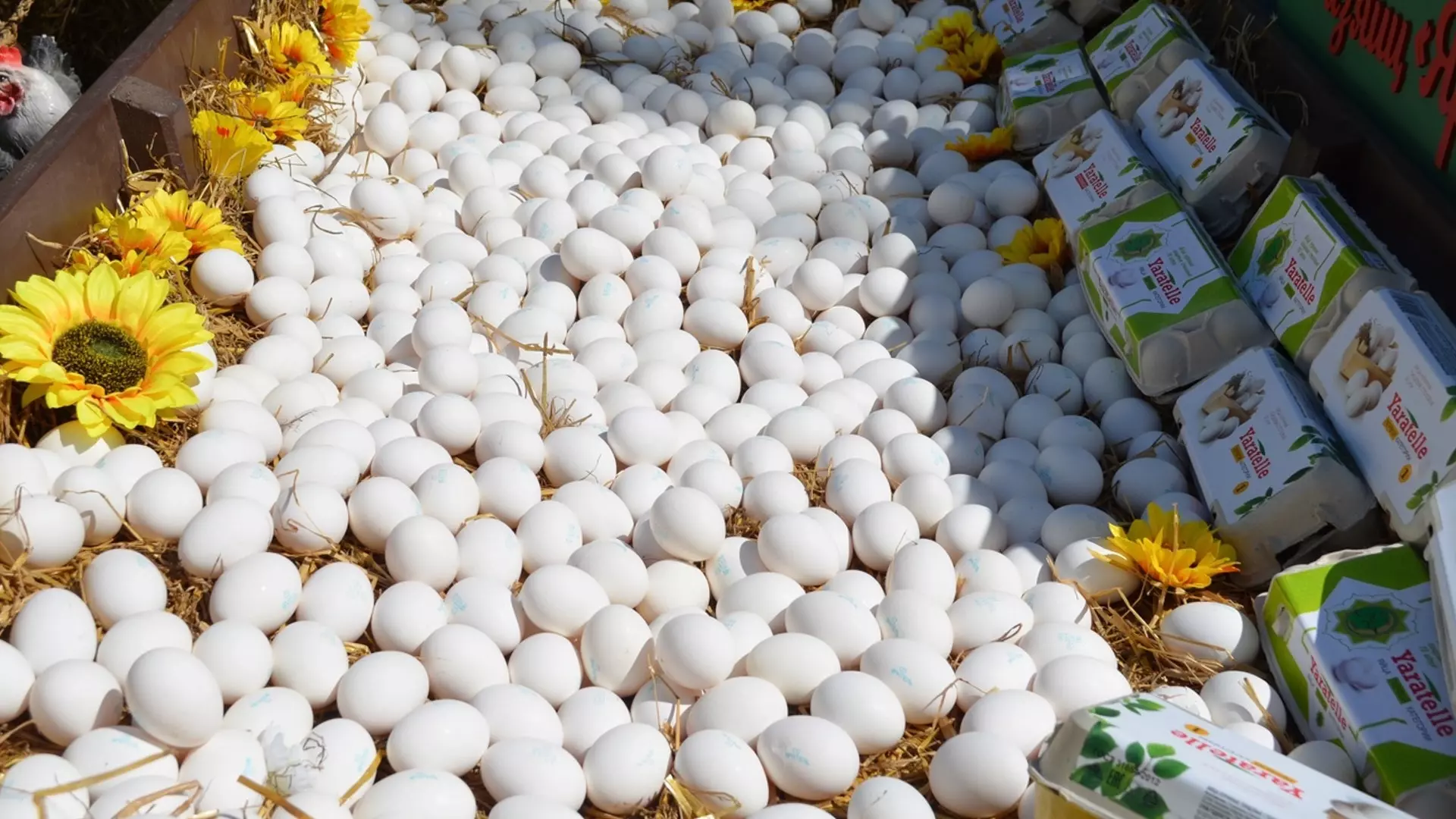 Разрушен миф о вреде куриных яиц