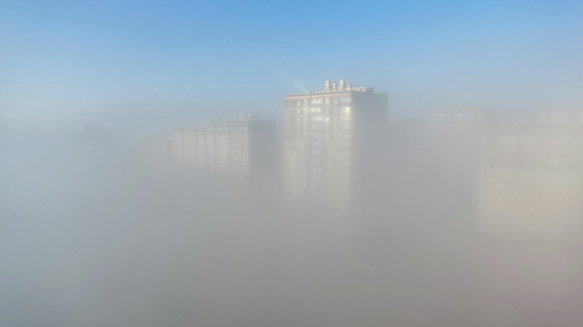 Массовые отмены рейсов из-за тумана: пассажиры из Петербурга застряли в Сочи