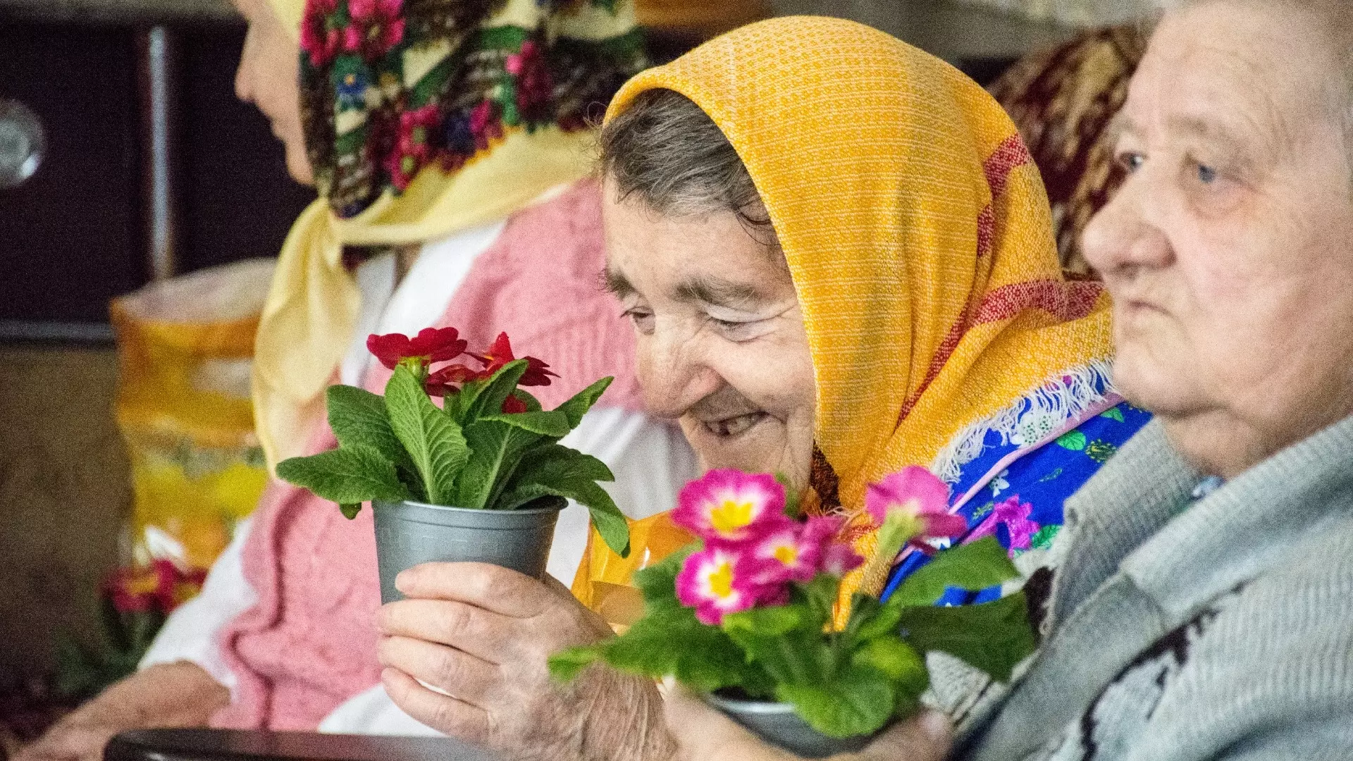 Всем под сотню лет: в России нашли село долгожителей