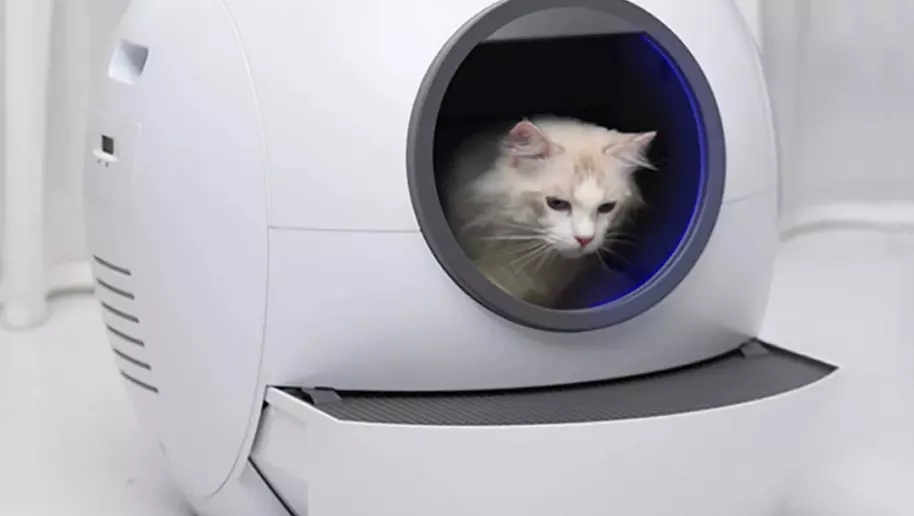 Плюсы чудо-лотка очевидны для хозяина кошки: не надо постоянно следить за чистотой кошачьего туалета