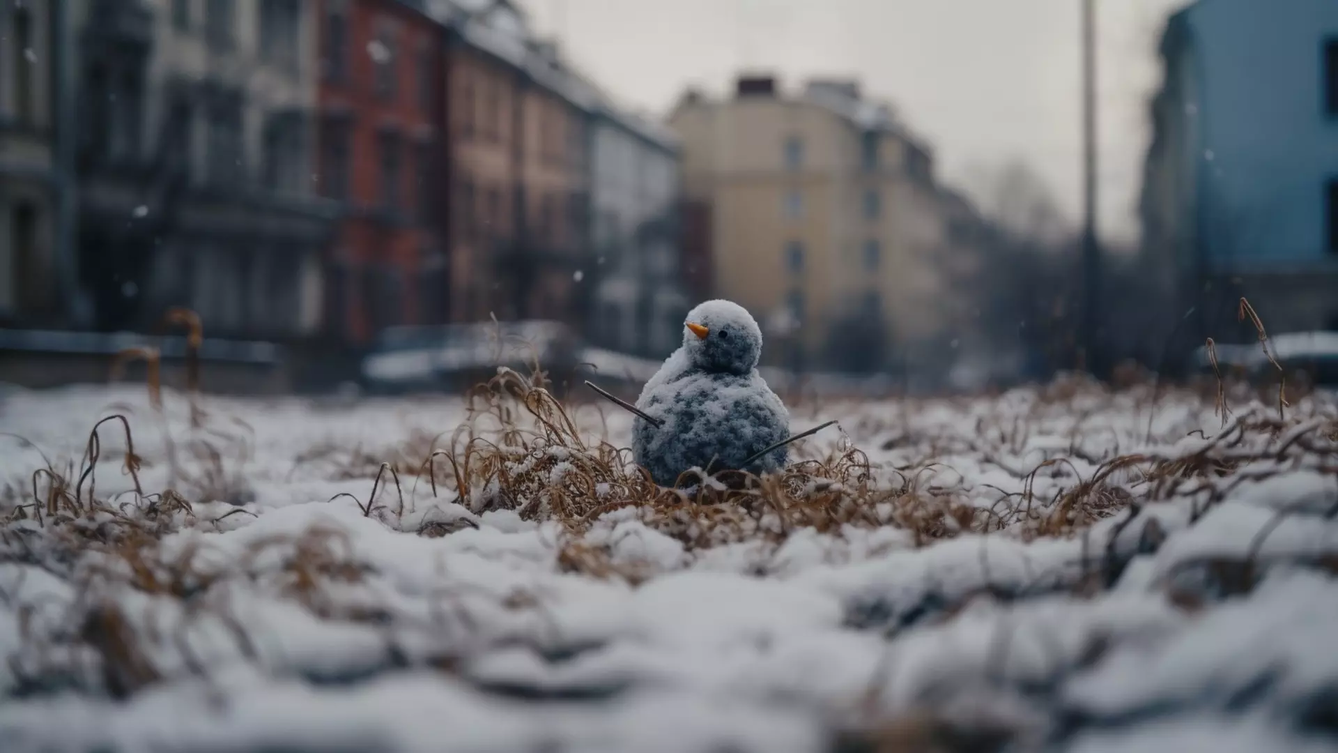 В Петербурге крепчает мороз