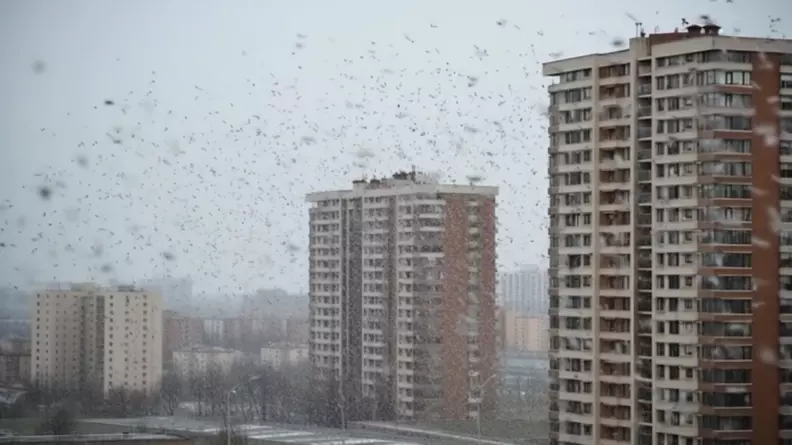 Синоптик Тишковец спрогнозировал аномалии зимой в России