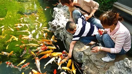 В Египте гостям из-за границы кормить рыб строго запрещено